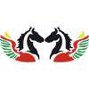 Air Burkina