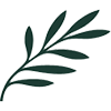 Cyprus Airways