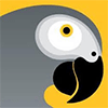 Fastjet Zimbabwe