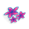 Air Rarotonga